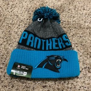 New Panthers Knit Hat